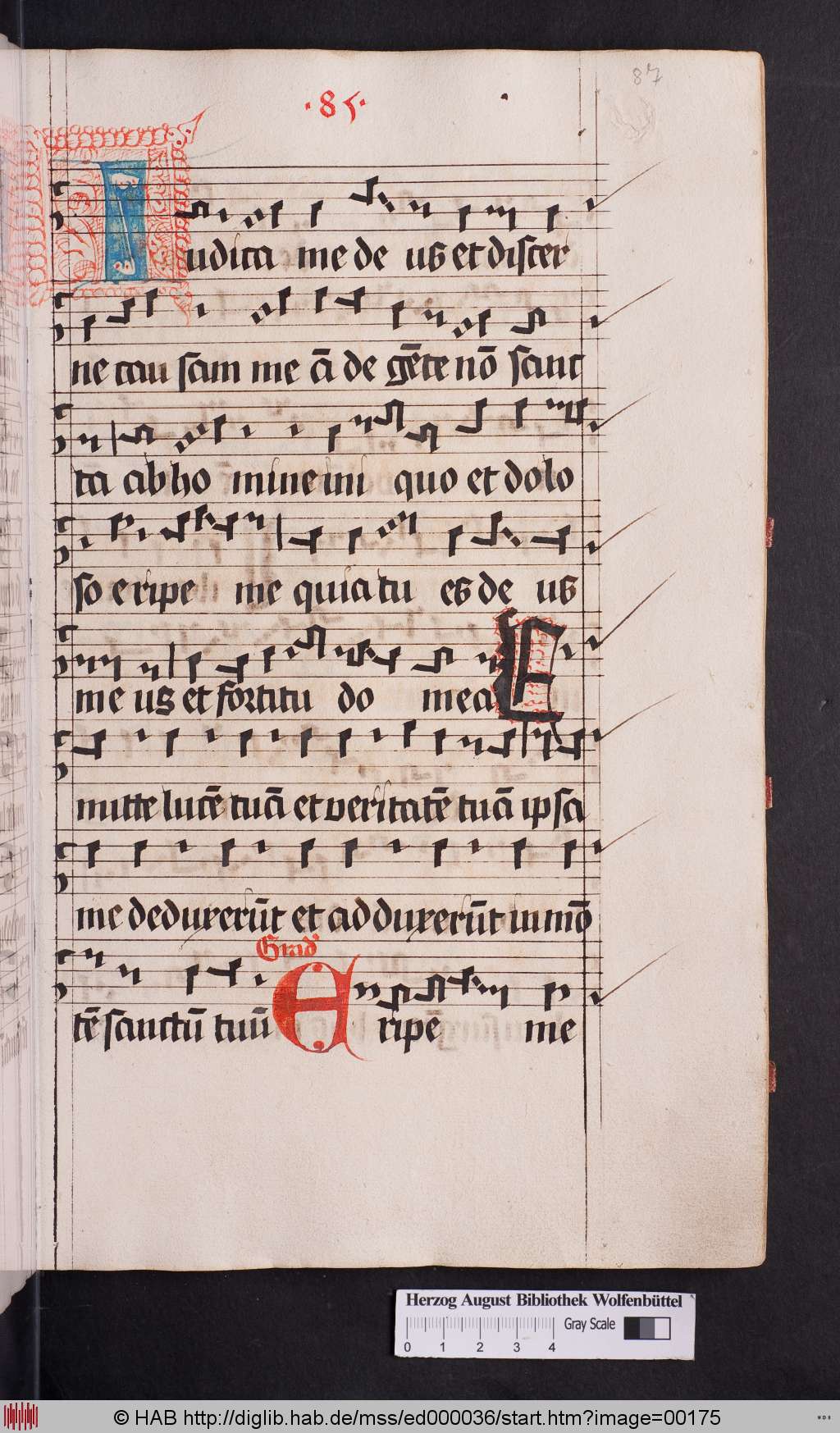 http://diglib.hab.de/mss/ed000036/00175.jpg