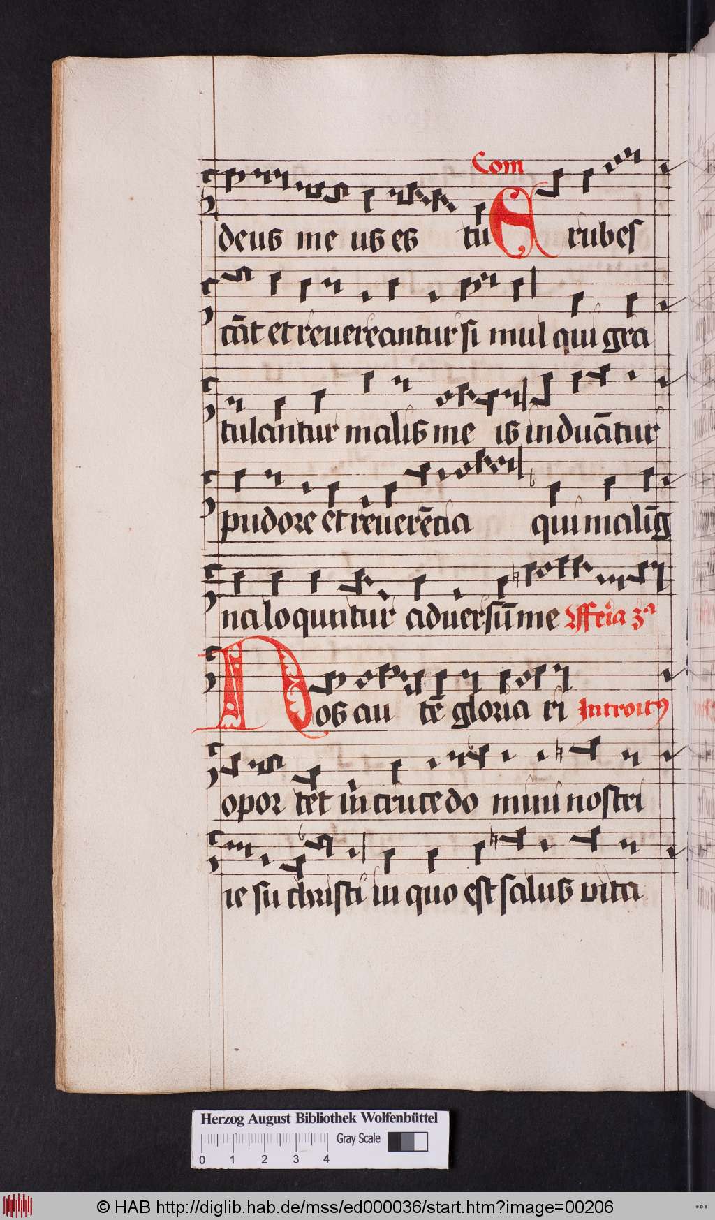http://diglib.hab.de/mss/ed000036/00206.jpg