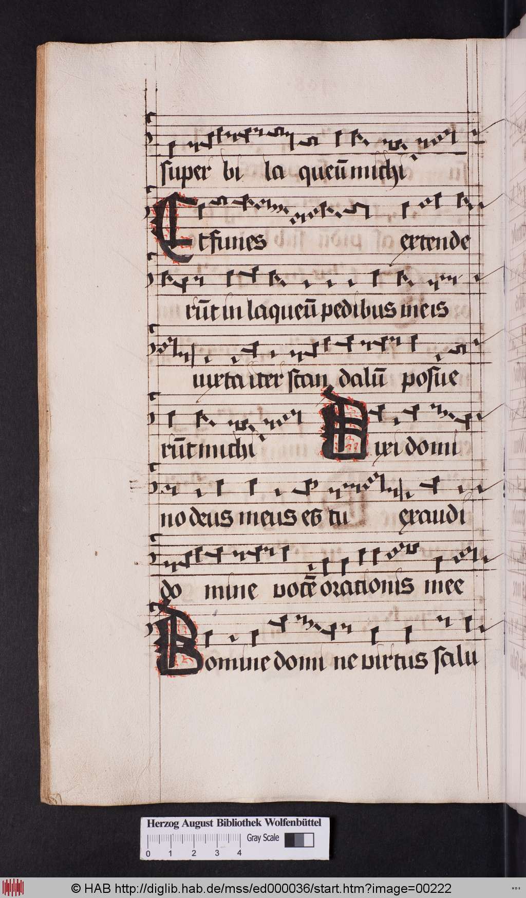 http://diglib.hab.de/mss/ed000036/00222.jpg