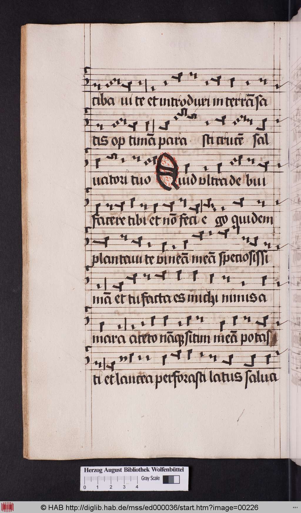 http://diglib.hab.de/mss/ed000036/00226.jpg