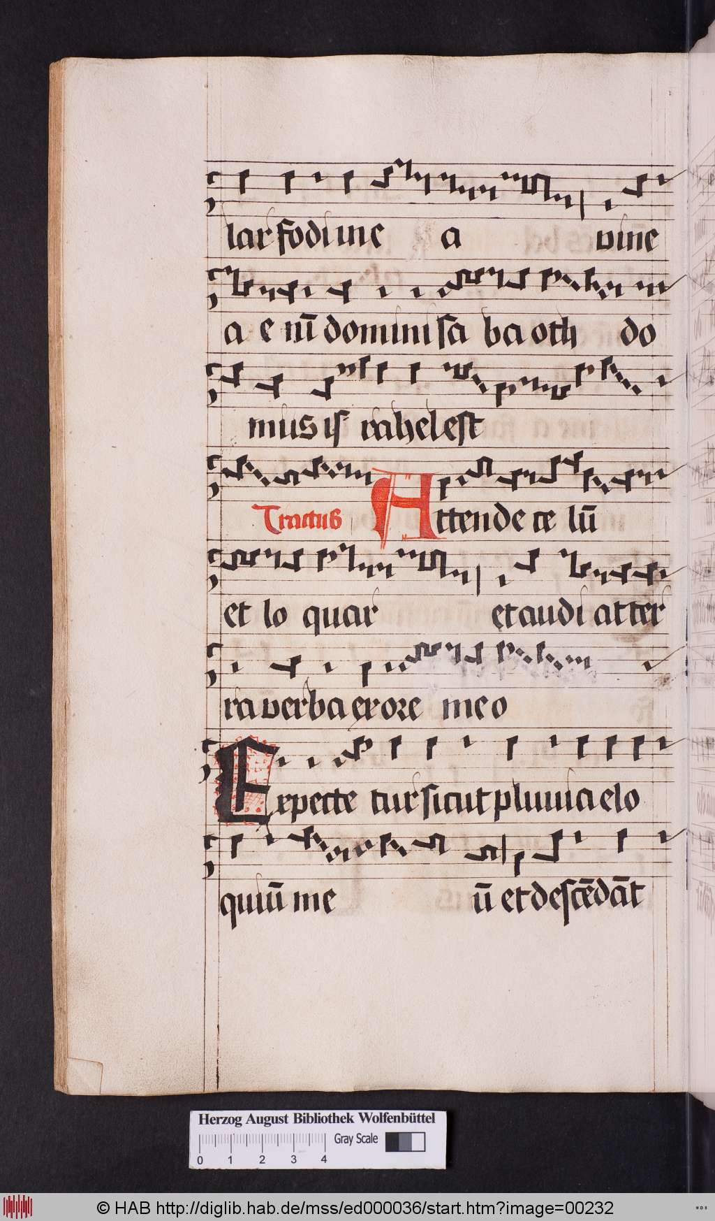 http://diglib.hab.de/mss/ed000036/00232.jpg