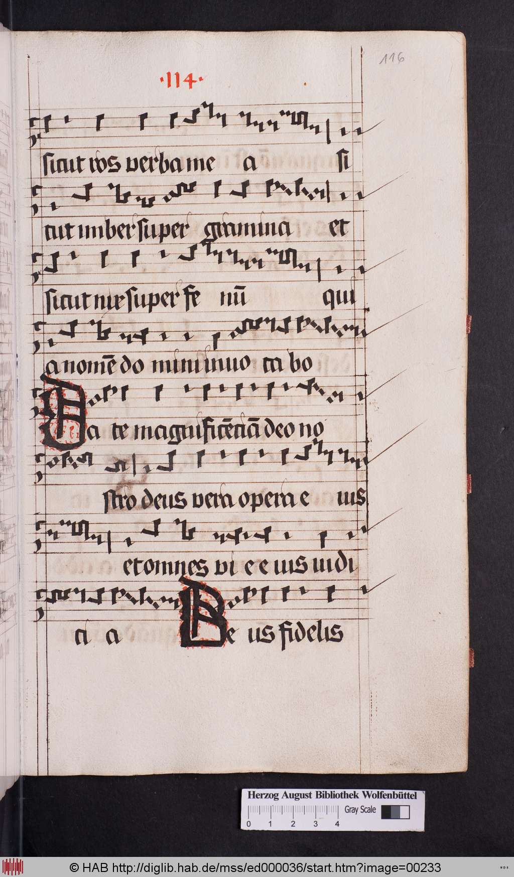 http://diglib.hab.de/mss/ed000036/00233.jpg