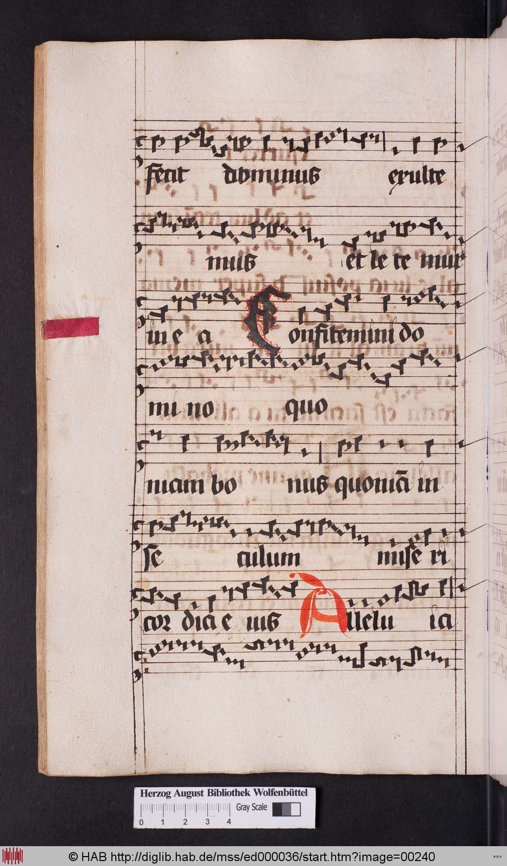 http://diglib.hab.de/mss/ed000036/00240.jpg