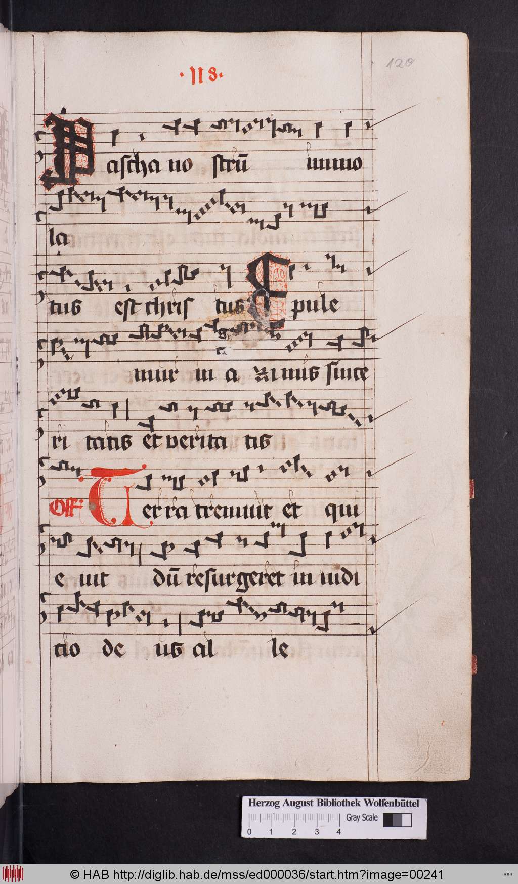 http://diglib.hab.de/mss/ed000036/00241.jpg