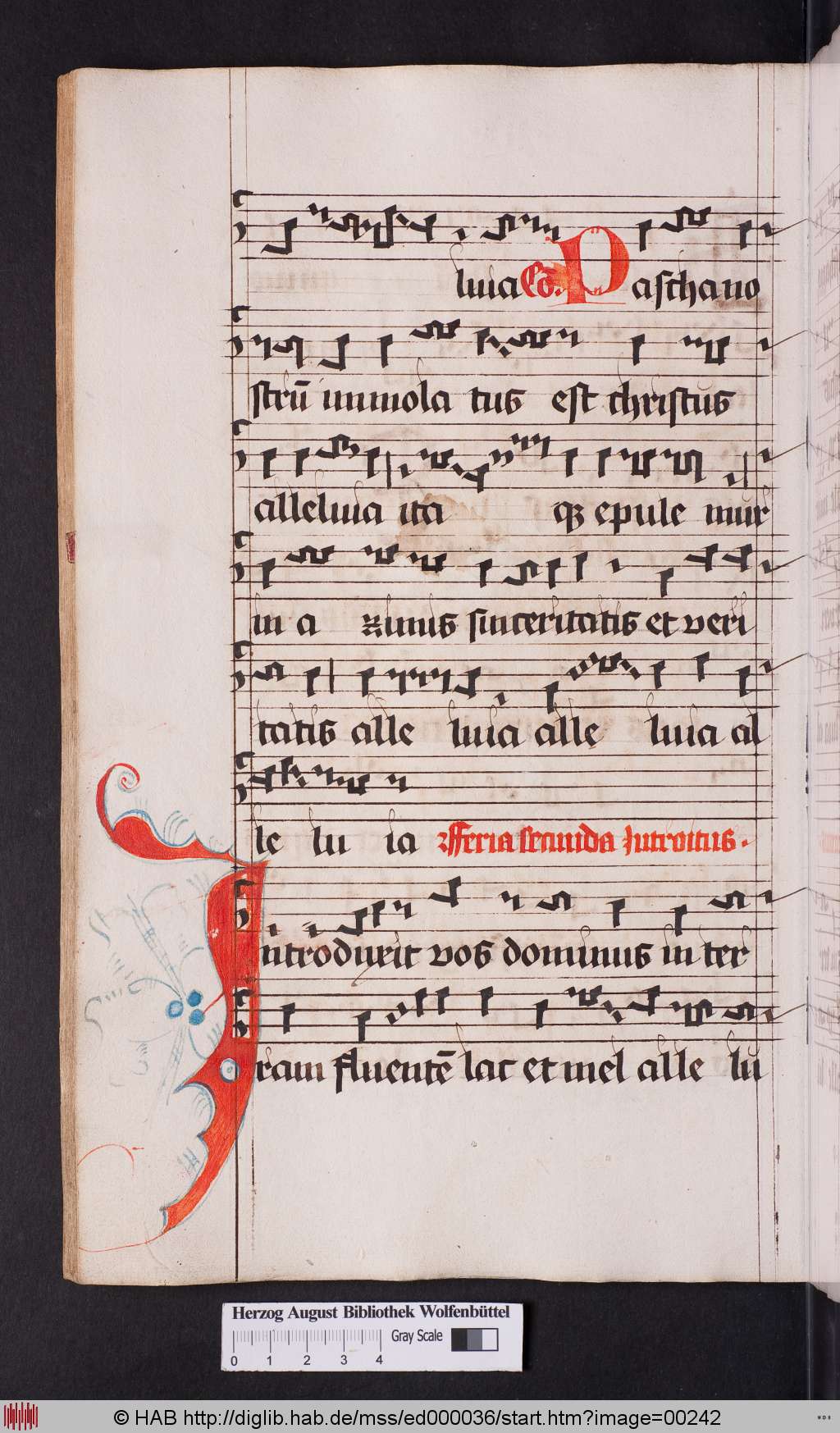 http://diglib.hab.de/mss/ed000036/00242.jpg