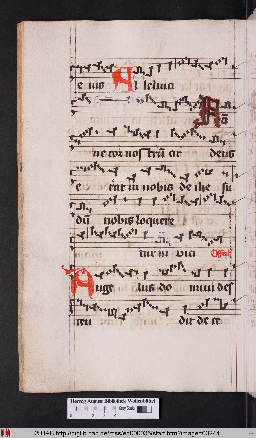 http://diglib.hab.de/mss/ed000036/00244.jpg