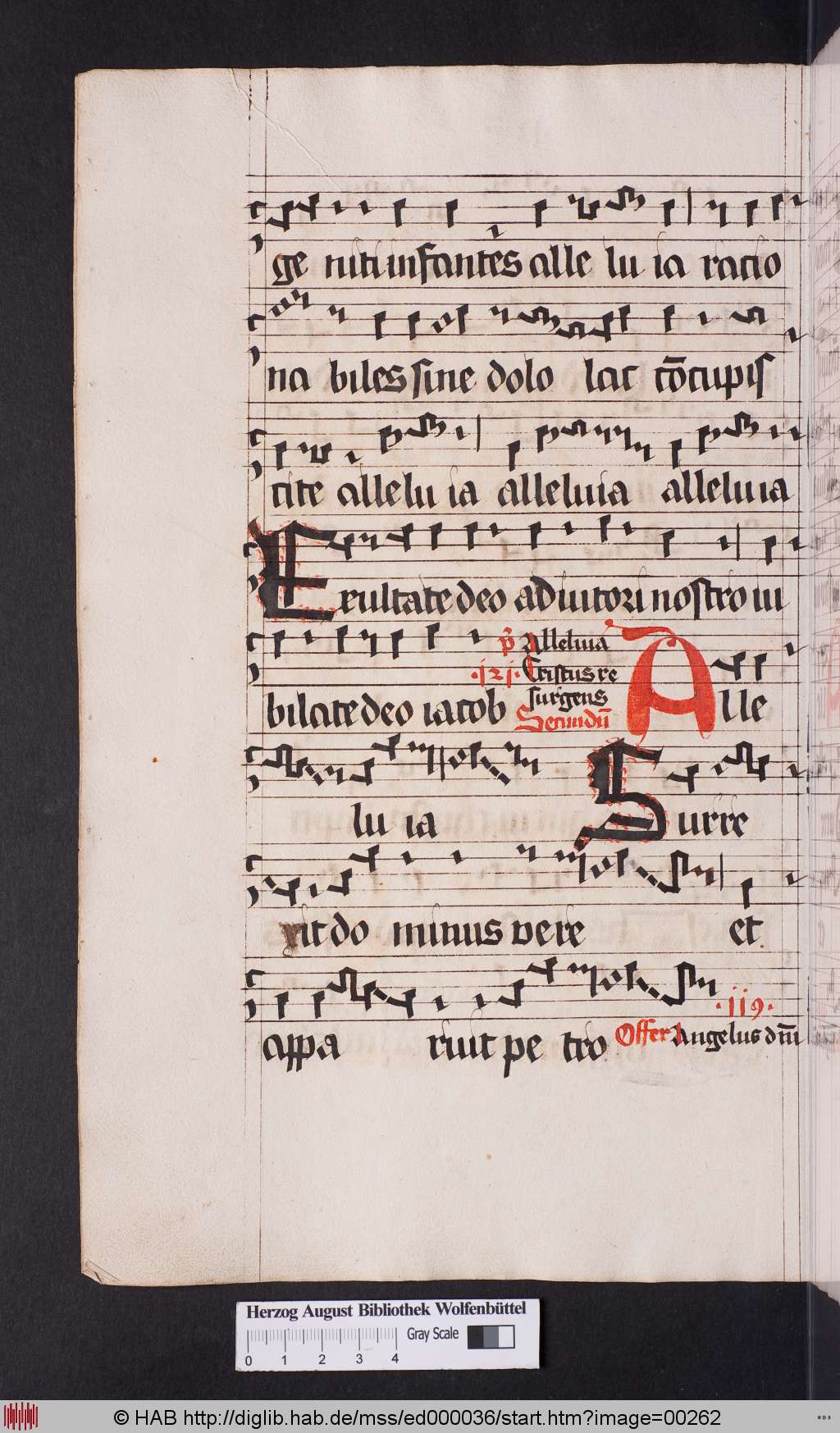 http://diglib.hab.de/mss/ed000036/00262.jpg