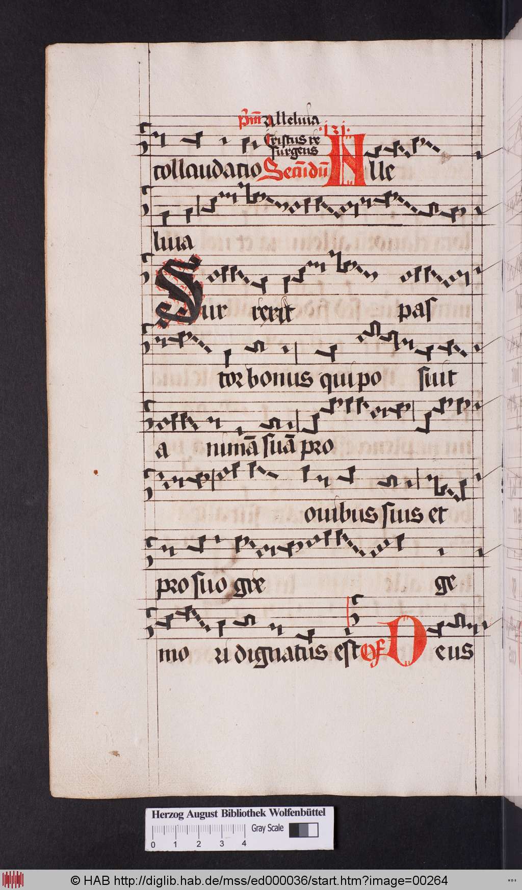 http://diglib.hab.de/mss/ed000036/00264.jpg