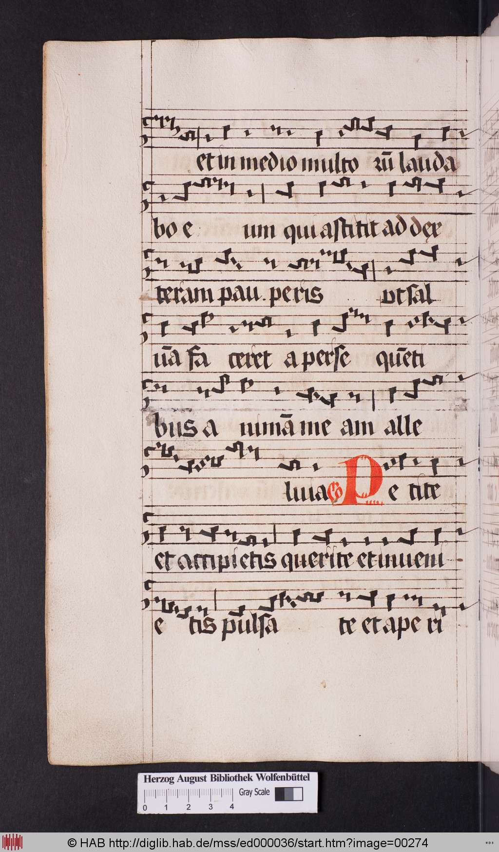 http://diglib.hab.de/mss/ed000036/00274.jpg