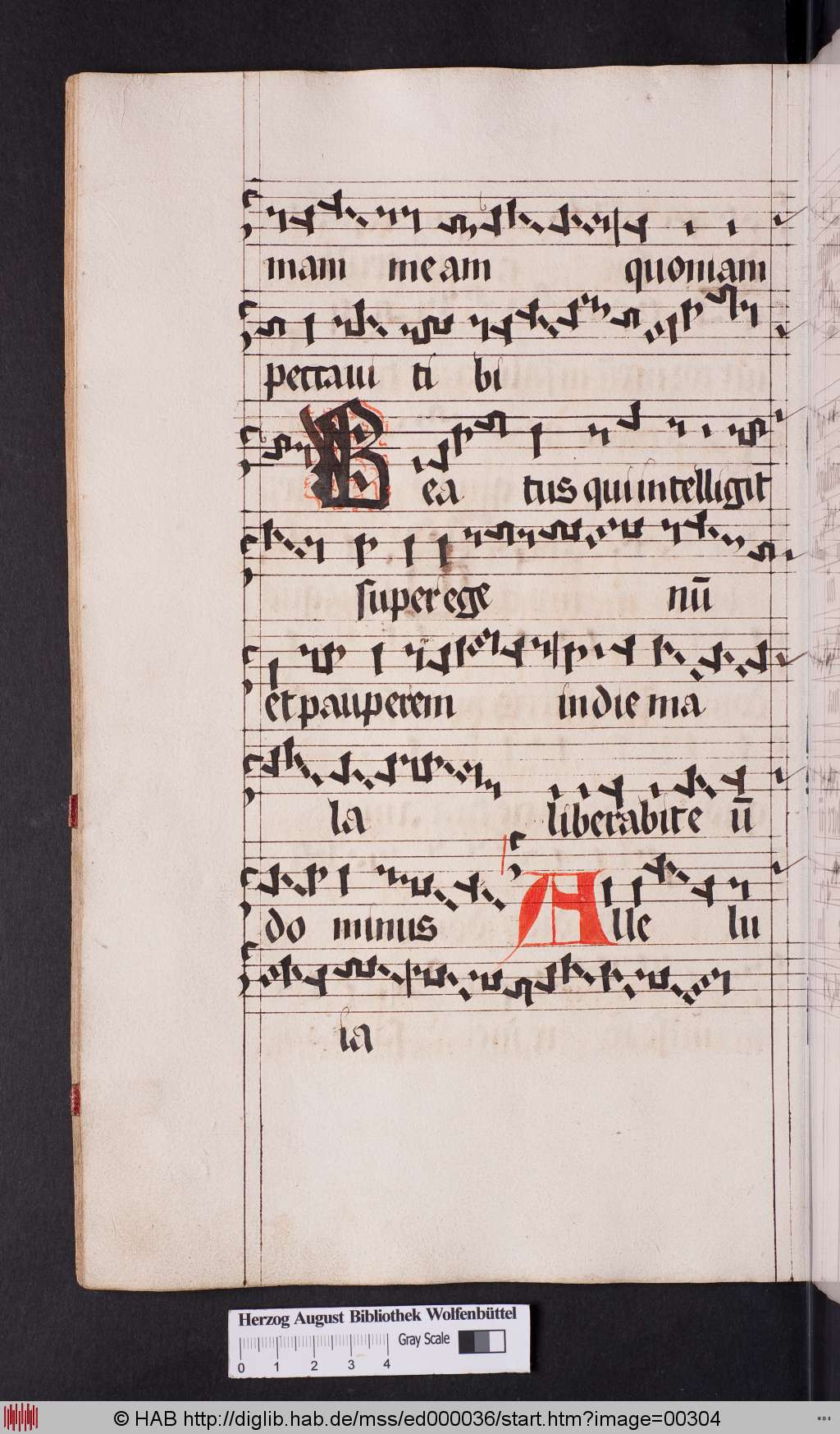 http://diglib.hab.de/mss/ed000036/00304.jpg