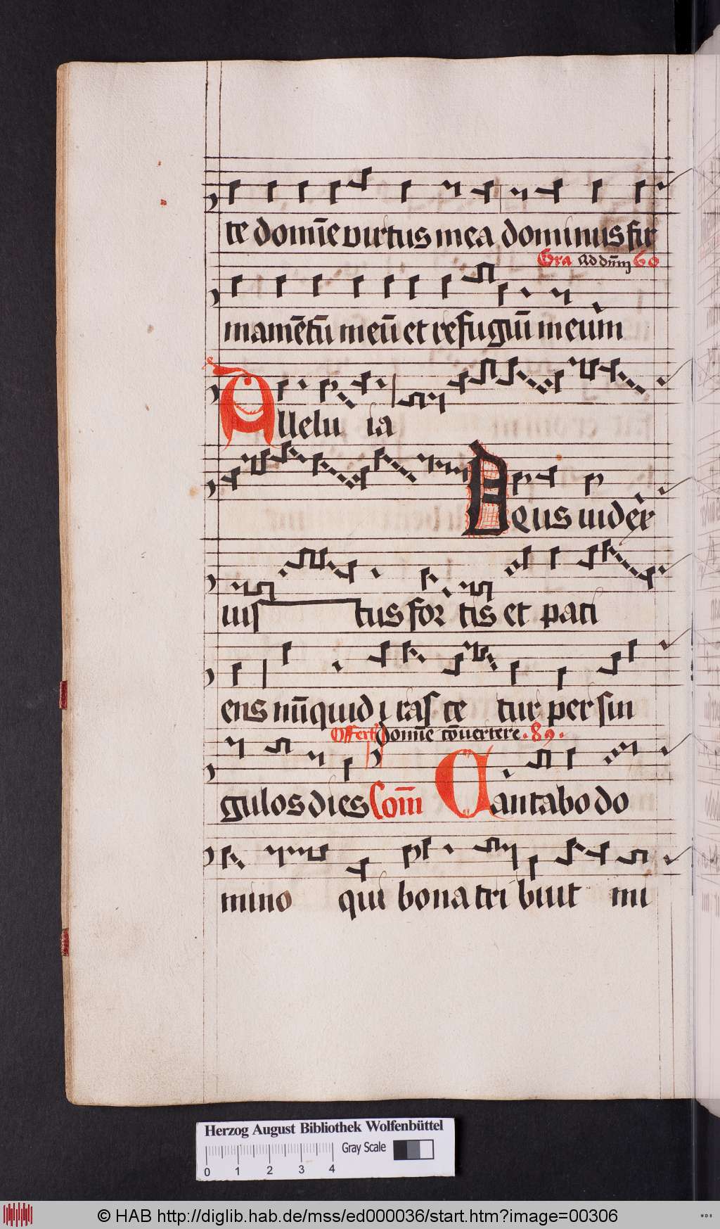 http://diglib.hab.de/mss/ed000036/00306.jpg