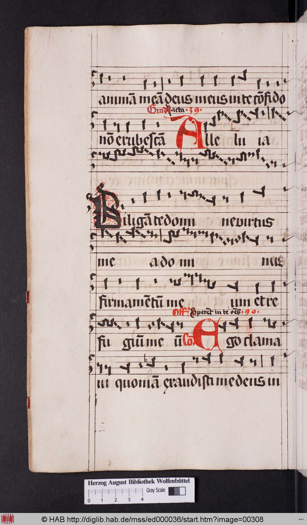 http://diglib.hab.de/mss/ed000036/00308.jpg