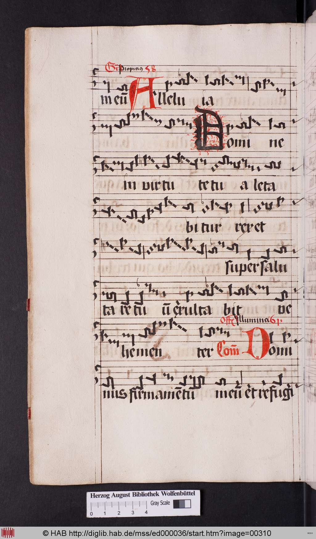 http://diglib.hab.de/mss/ed000036/00310.jpg