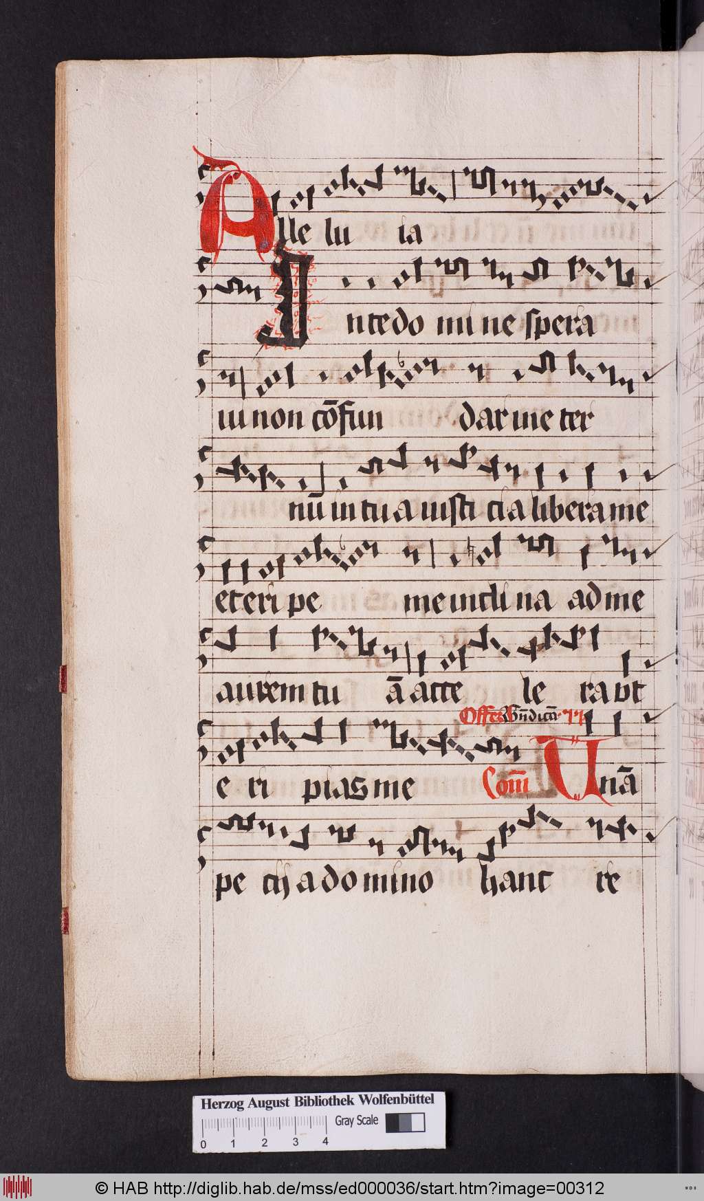http://diglib.hab.de/mss/ed000036/00312.jpg