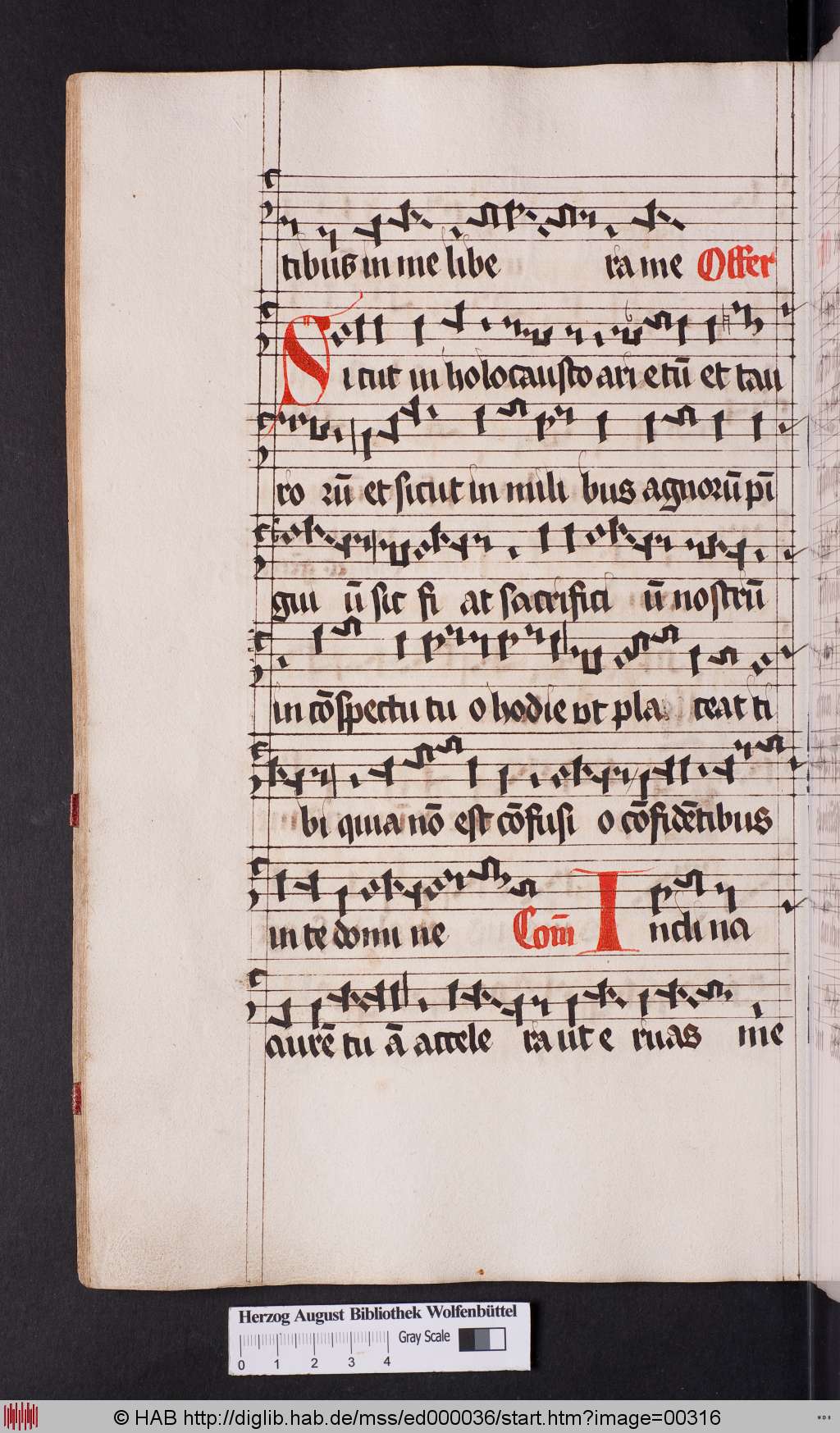 http://diglib.hab.de/mss/ed000036/00316.jpg