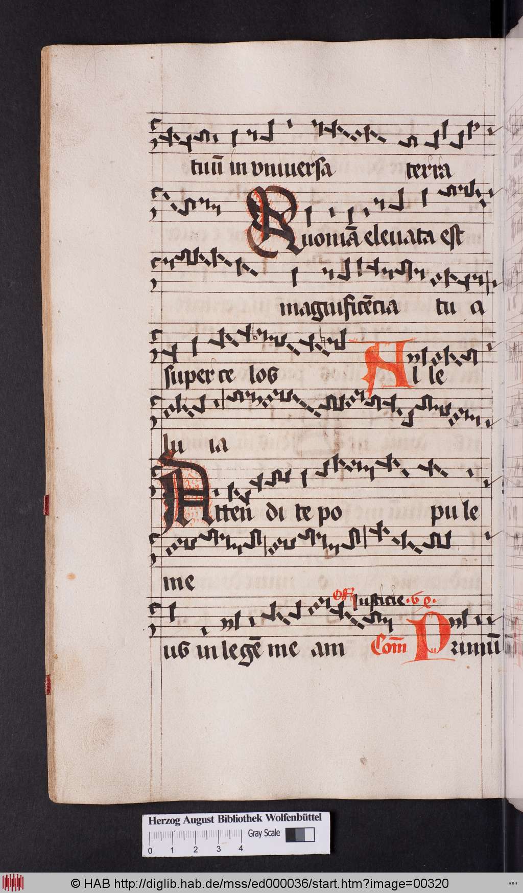 http://diglib.hab.de/mss/ed000036/00320.jpg