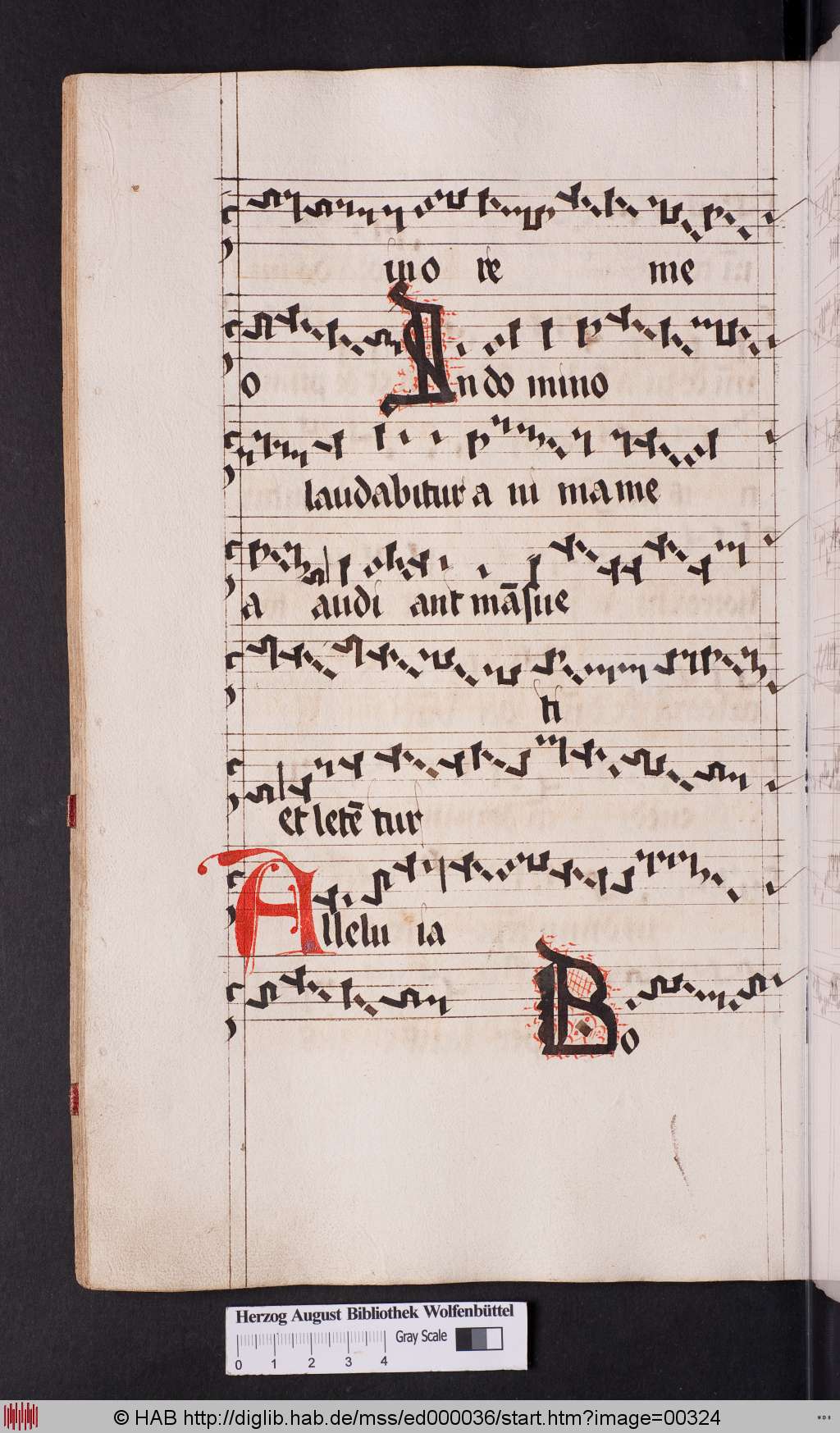 http://diglib.hab.de/mss/ed000036/00324.jpg