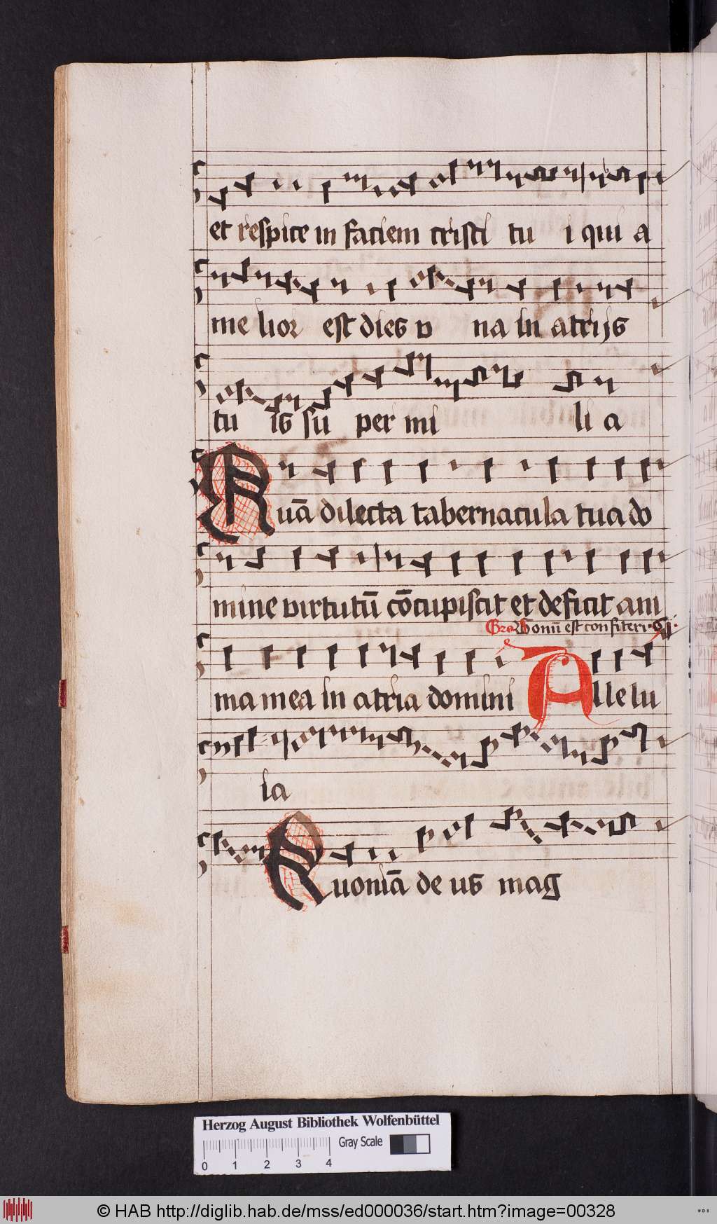 http://diglib.hab.de/mss/ed000036/00328.jpg