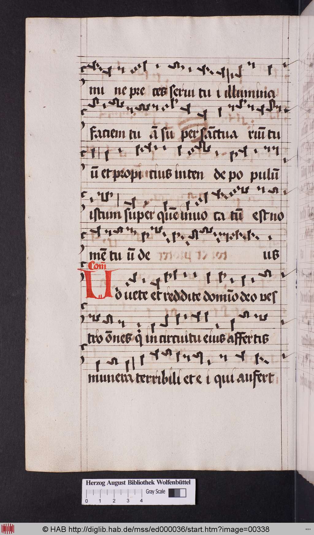 http://diglib.hab.de/mss/ed000036/00338.jpg