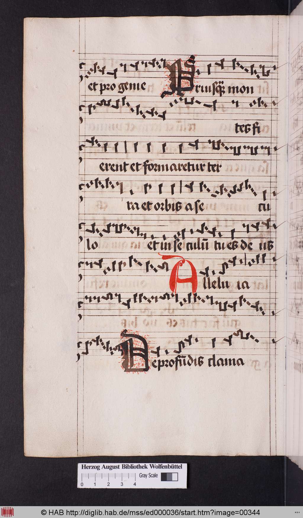 http://diglib.hab.de/mss/ed000036/00344.jpg