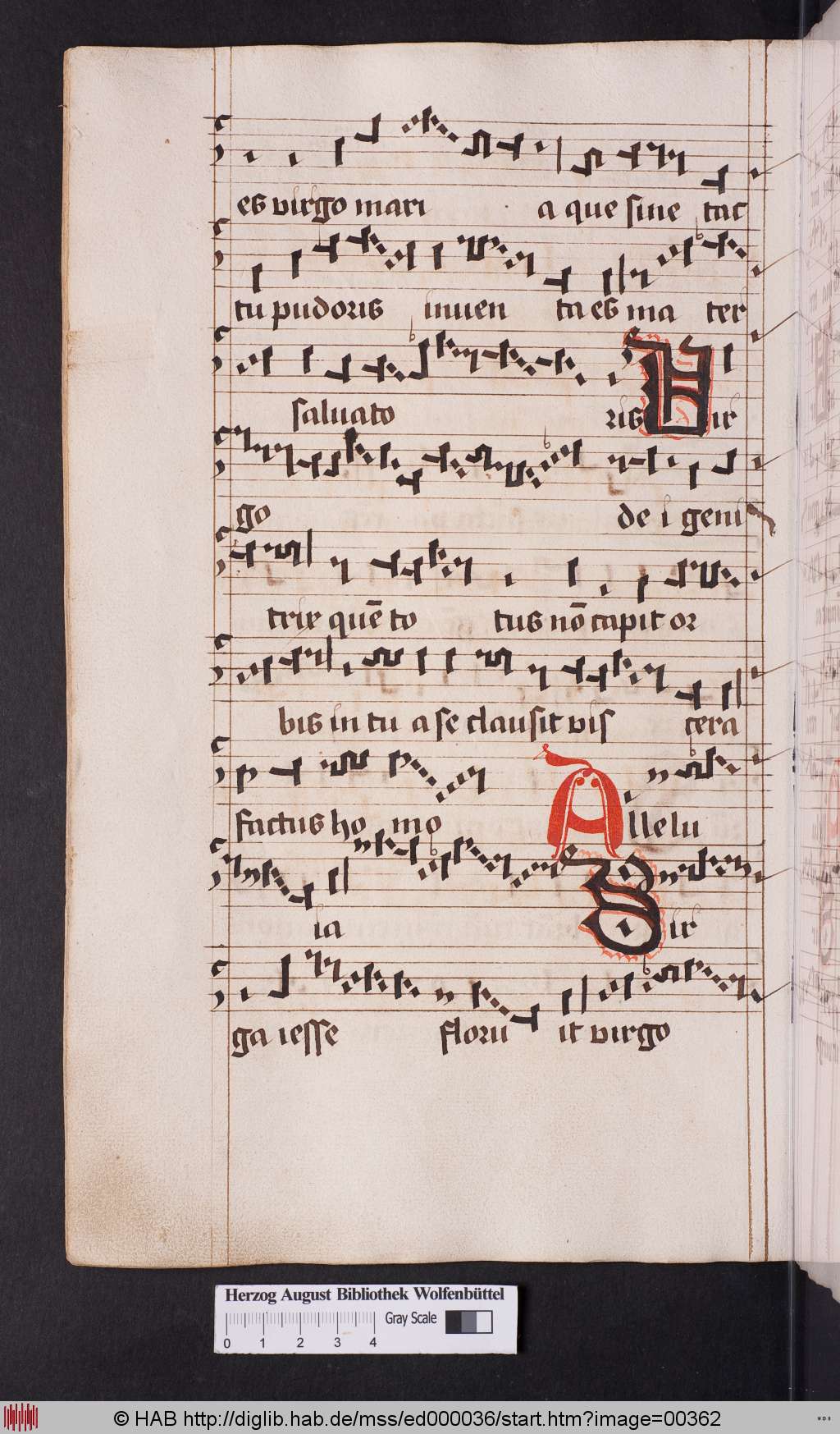 http://diglib.hab.de/mss/ed000036/00362.jpg
