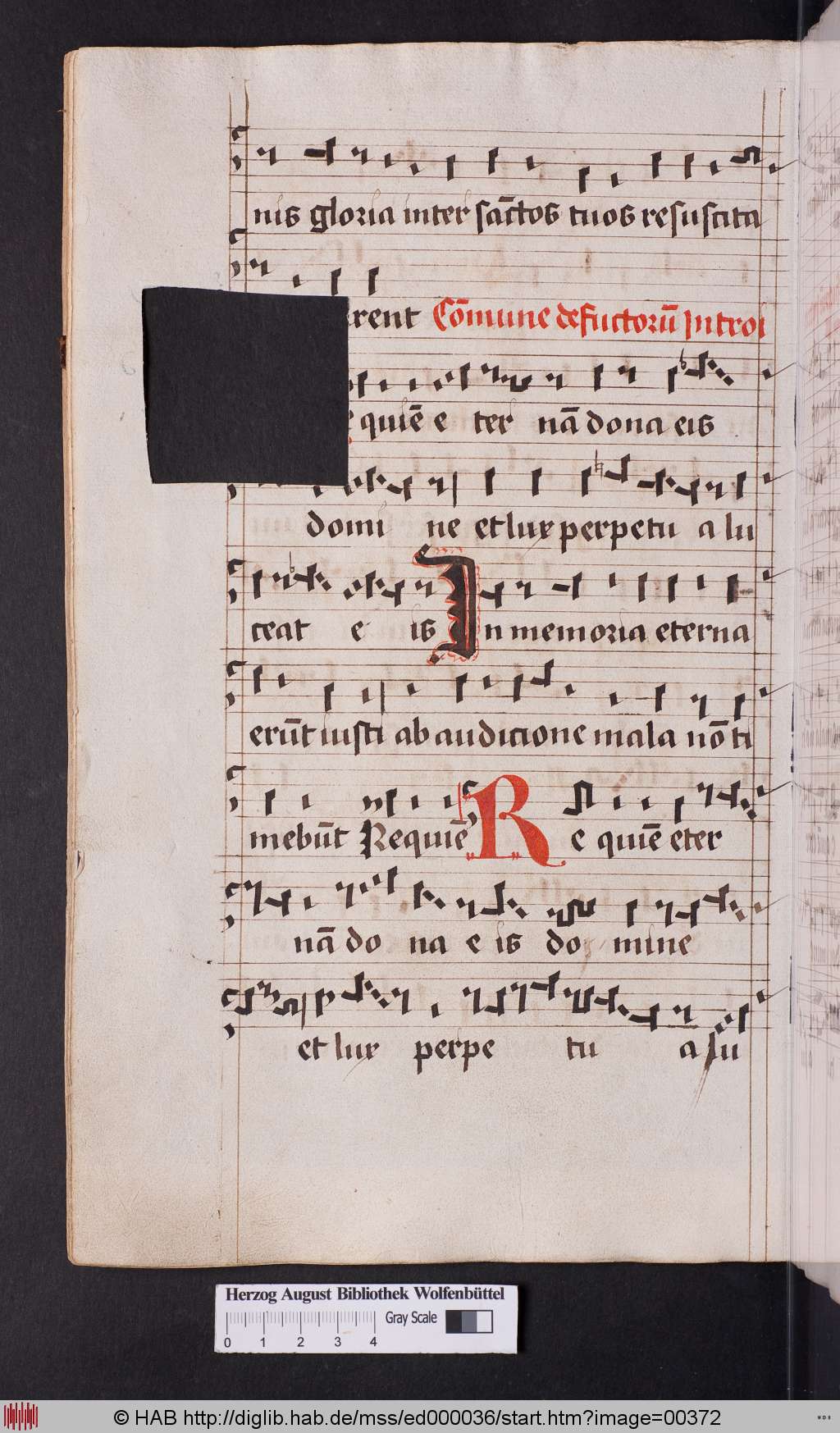 http://diglib.hab.de/mss/ed000036/00372.jpg