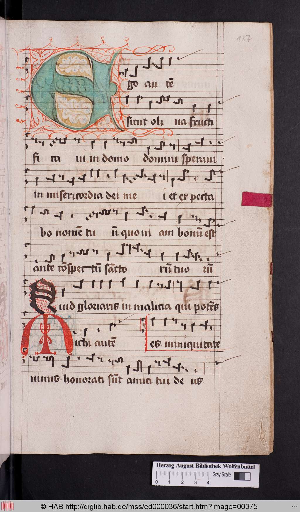 http://diglib.hab.de/mss/ed000036/00375.jpg