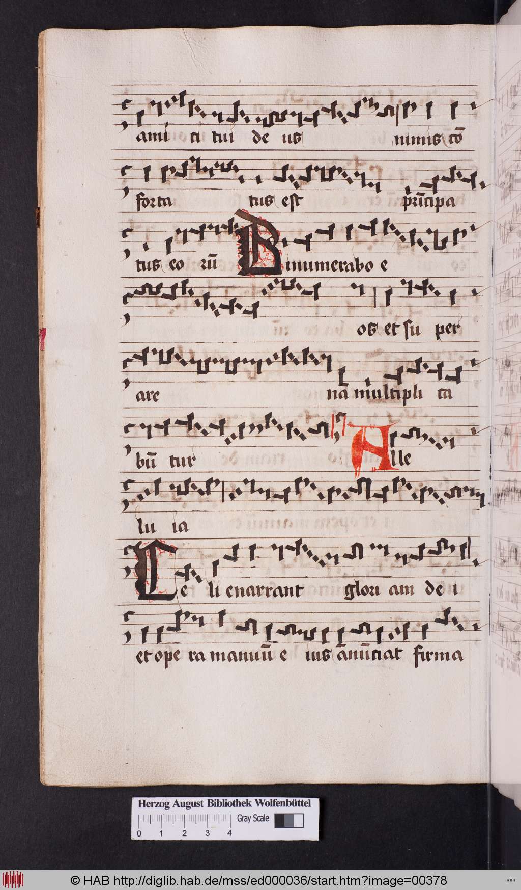 http://diglib.hab.de/mss/ed000036/00378.jpg