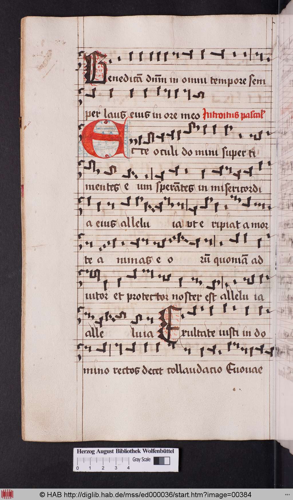 http://diglib.hab.de/mss/ed000036/00384.jpg