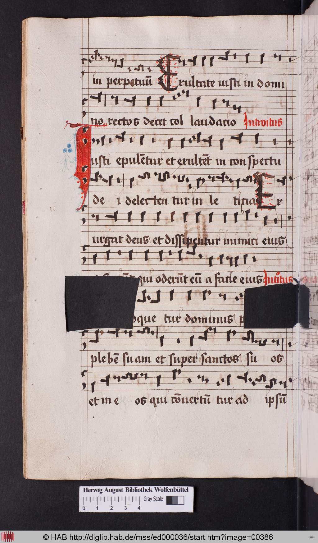 http://diglib.hab.de/mss/ed000036/00386.jpg