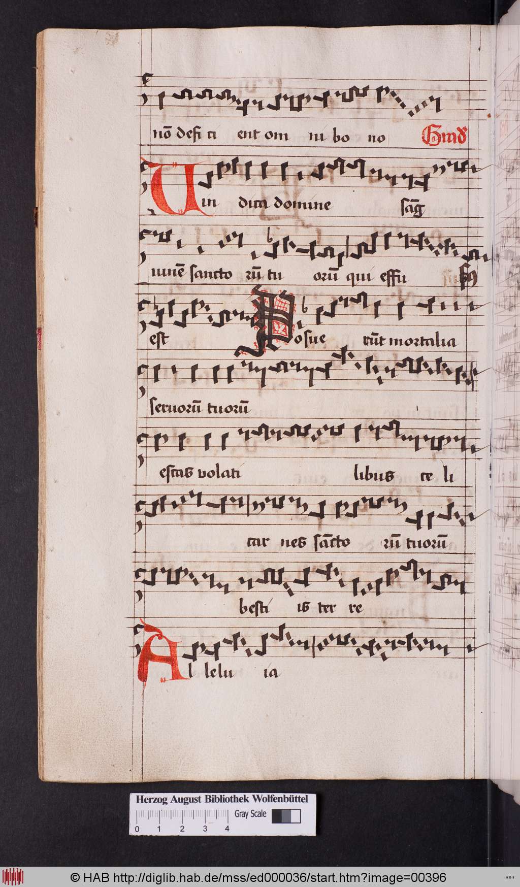 http://diglib.hab.de/mss/ed000036/00396.jpg