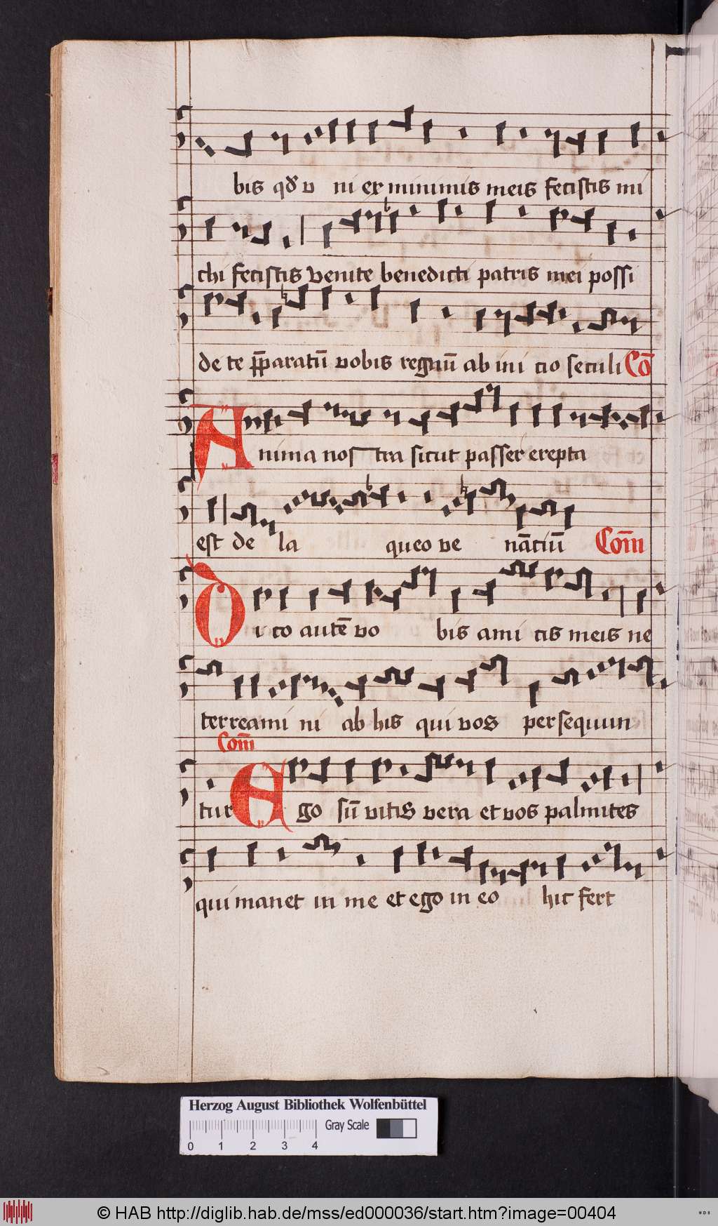 http://diglib.hab.de/mss/ed000036/00404.jpg