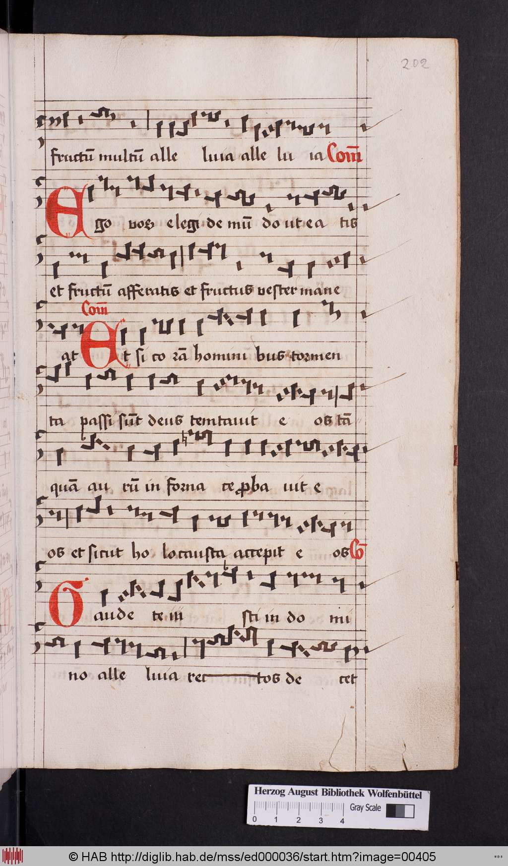 http://diglib.hab.de/mss/ed000036/00405.jpg