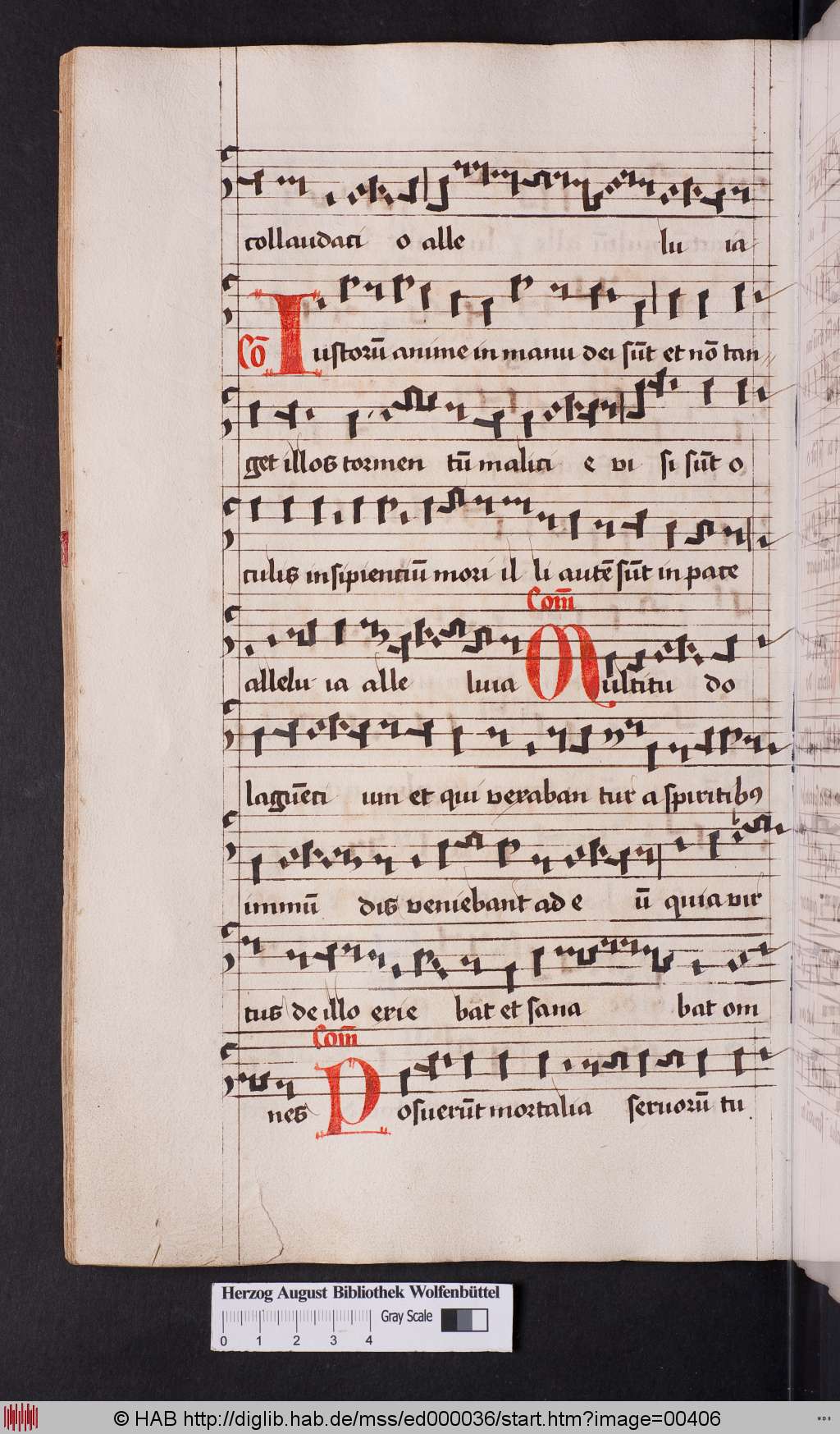 http://diglib.hab.de/mss/ed000036/00406.jpg