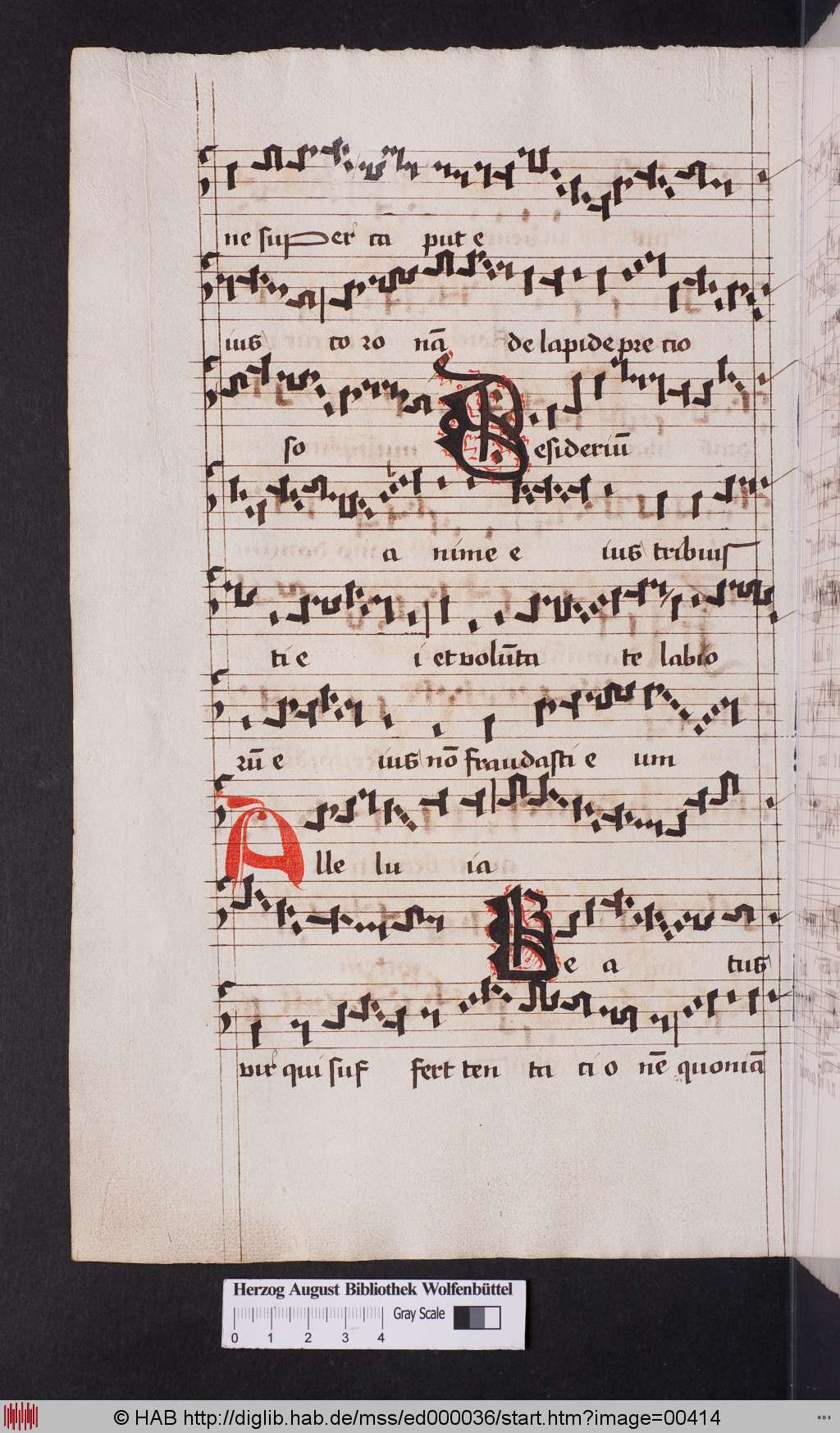 http://diglib.hab.de/mss/ed000036/00414.jpg
