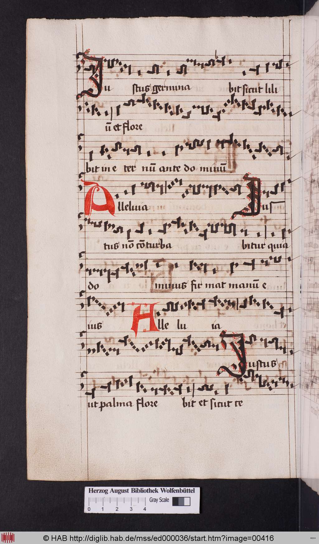 http://diglib.hab.de/mss/ed000036/00416.jpg