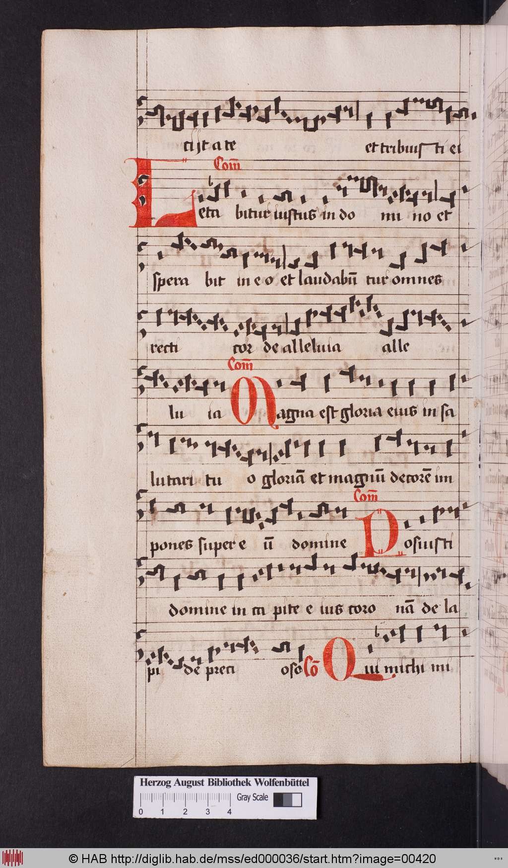 http://diglib.hab.de/mss/ed000036/00420.jpg