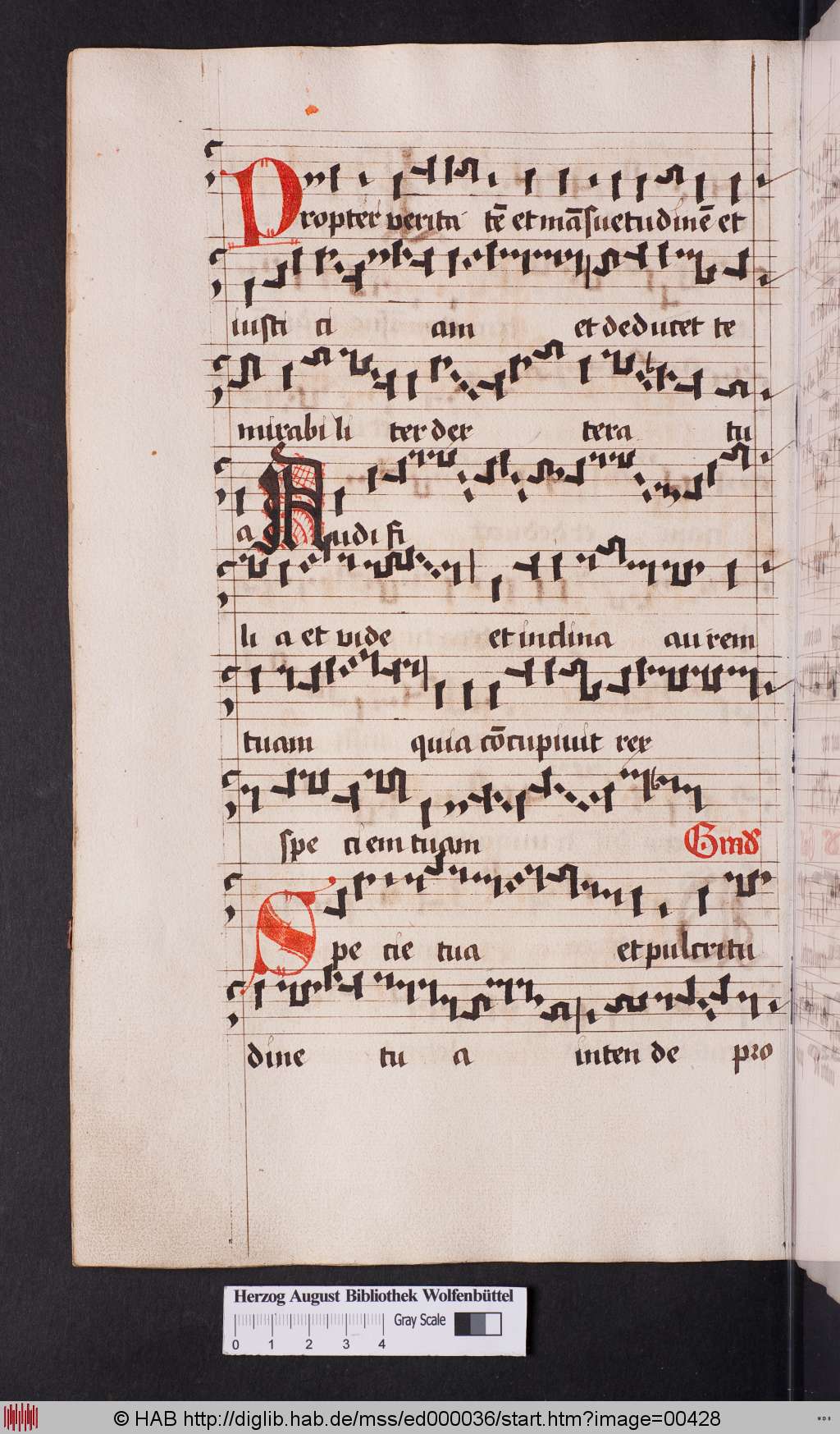 http://diglib.hab.de/mss/ed000036/00428.jpg
