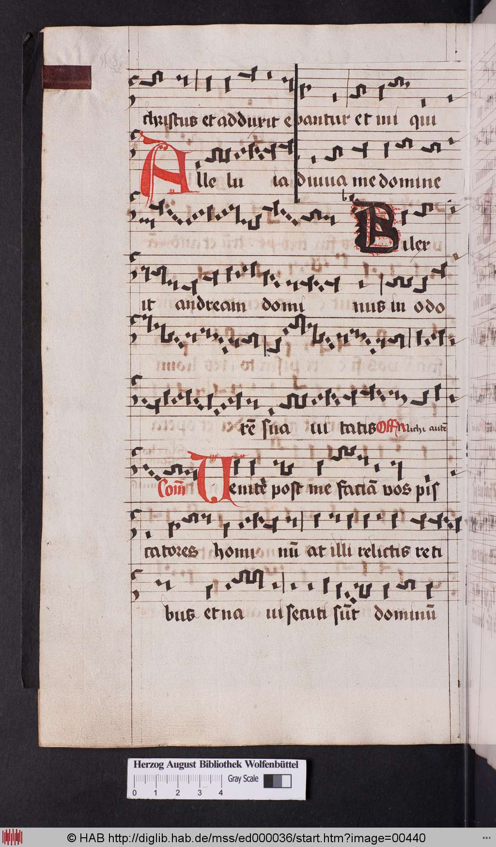 http://diglib.hab.de/mss/ed000036/00440.jpg