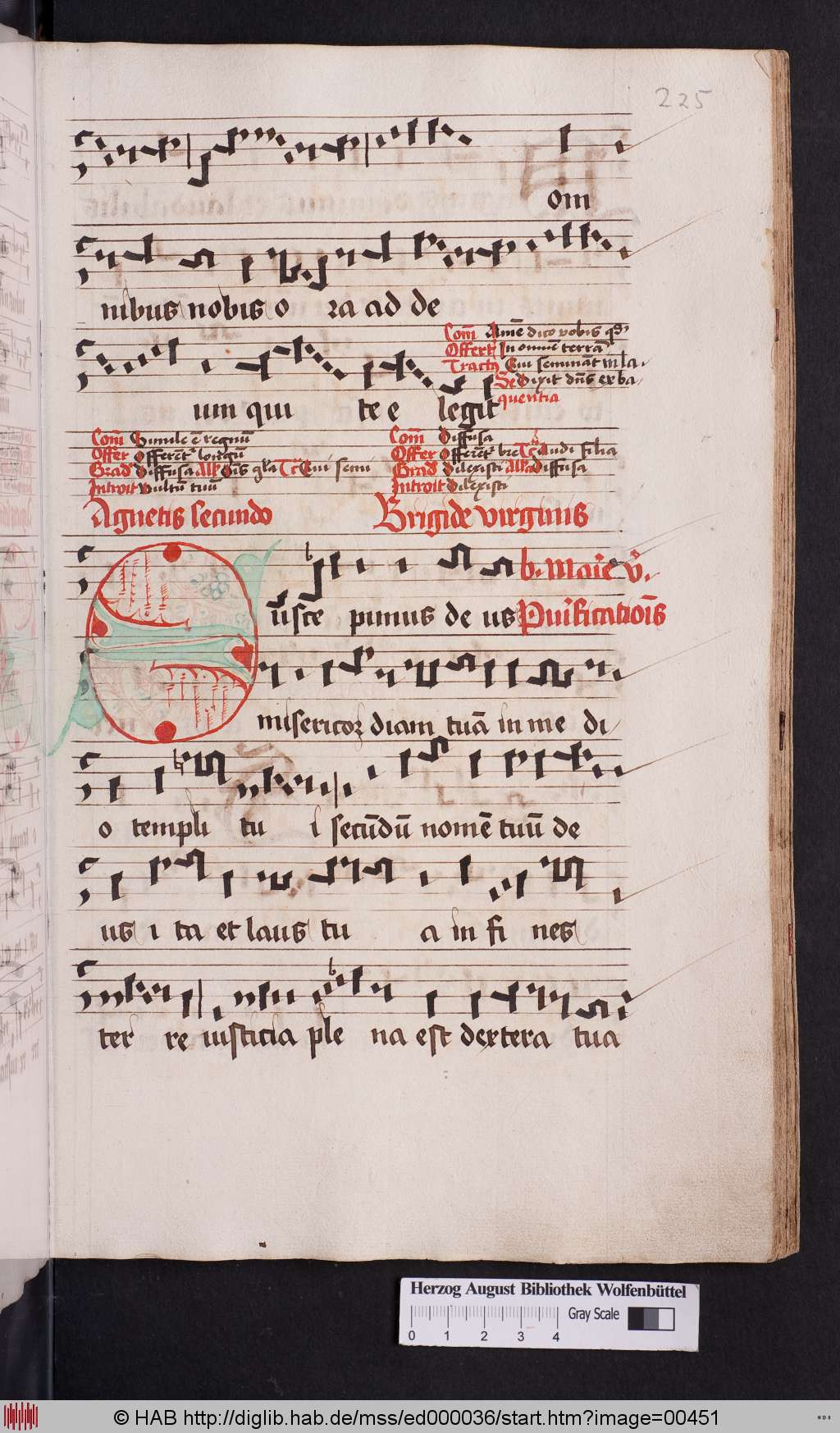 http://diglib.hab.de/mss/ed000036/00451.jpg