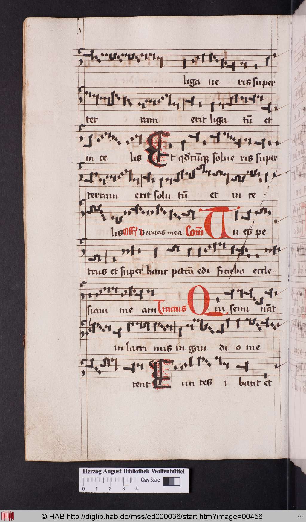 http://diglib.hab.de/mss/ed000036/00456.jpg