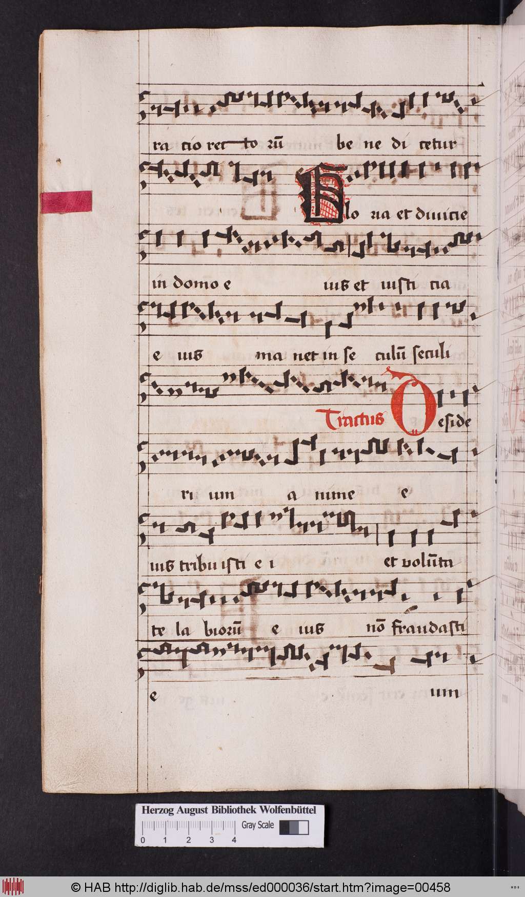 http://diglib.hab.de/mss/ed000036/00458.jpg