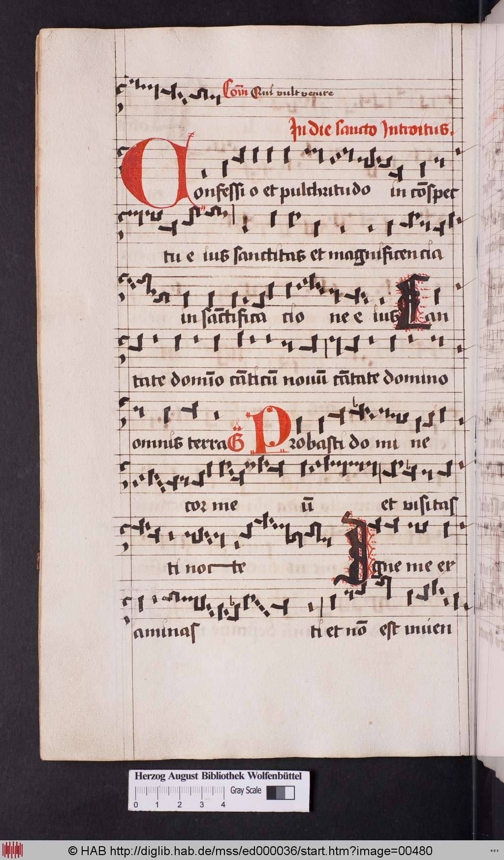 http://diglib.hab.de/mss/ed000036/00480.jpg