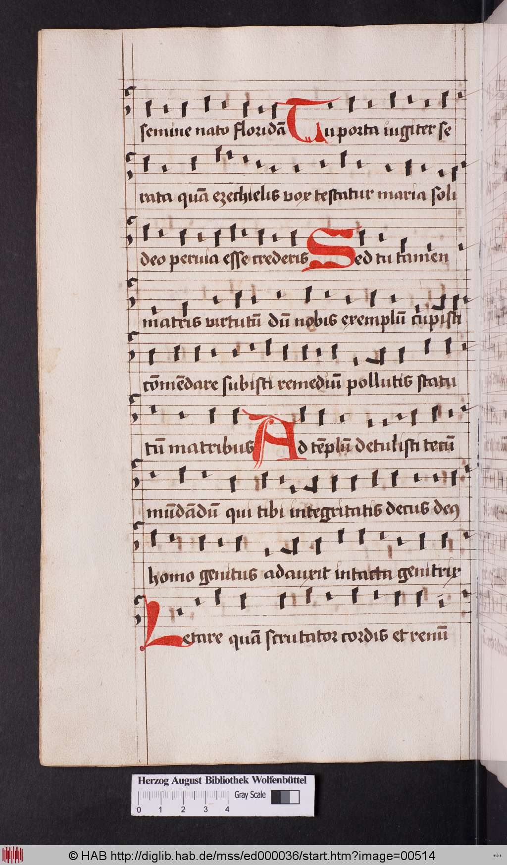 http://diglib.hab.de/mss/ed000036/00514.jpg