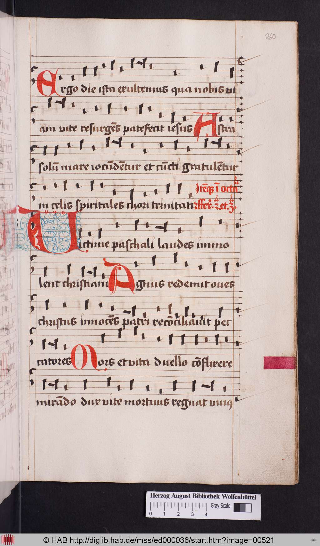 http://diglib.hab.de/mss/ed000036/00521.jpg