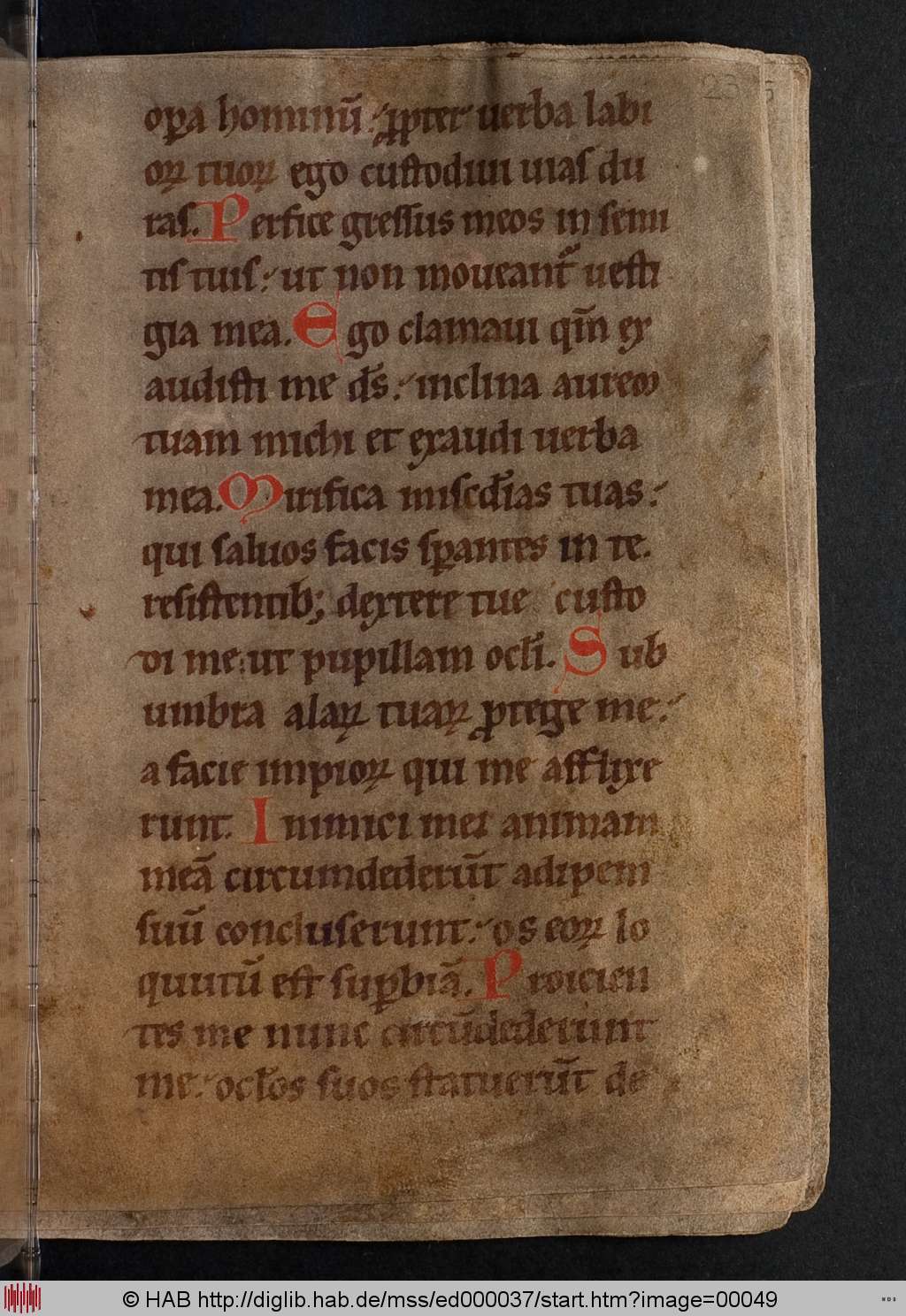 http://diglib.hab.de/mss/ed000037/00049.jpg