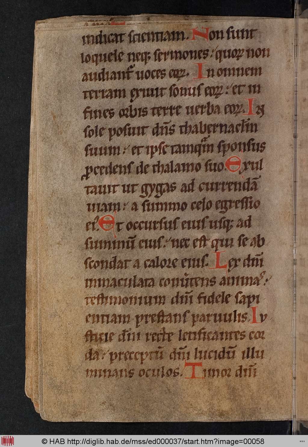 http://diglib.hab.de/mss/ed000037/00058.jpg