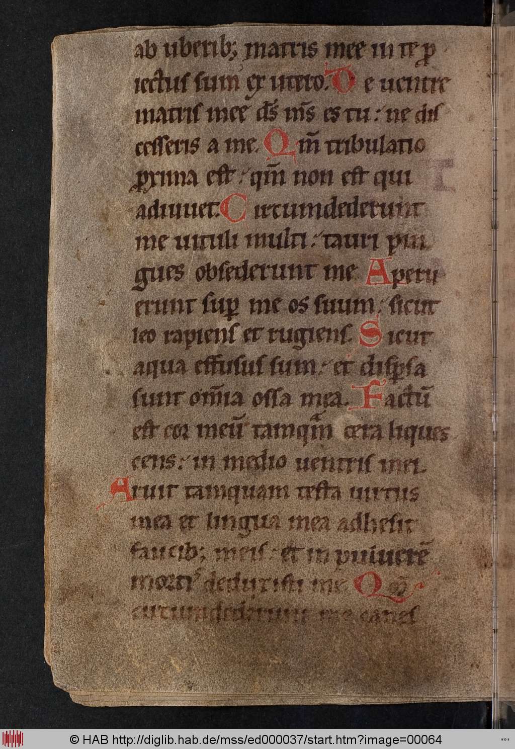 http://diglib.hab.de/mss/ed000037/00064.jpg