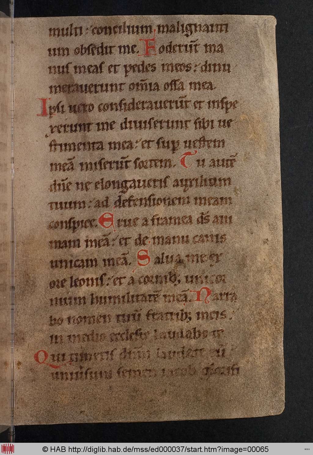 http://diglib.hab.de/mss/ed000037/00065.jpg