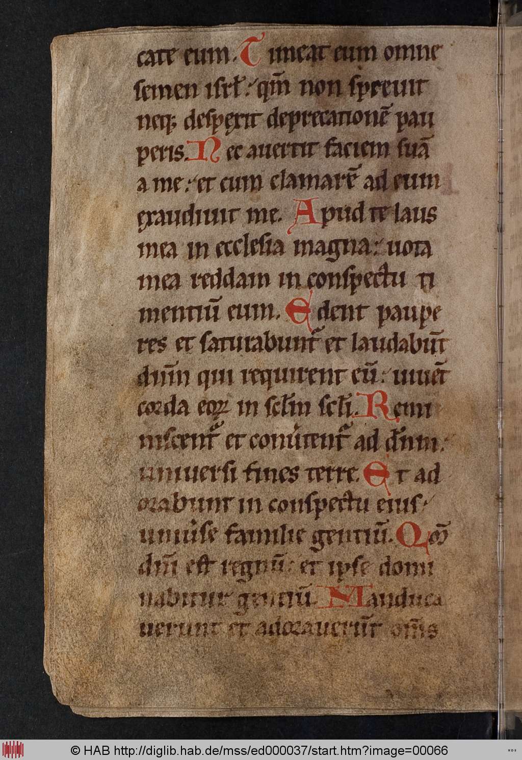 http://diglib.hab.de/mss/ed000037/00066.jpg